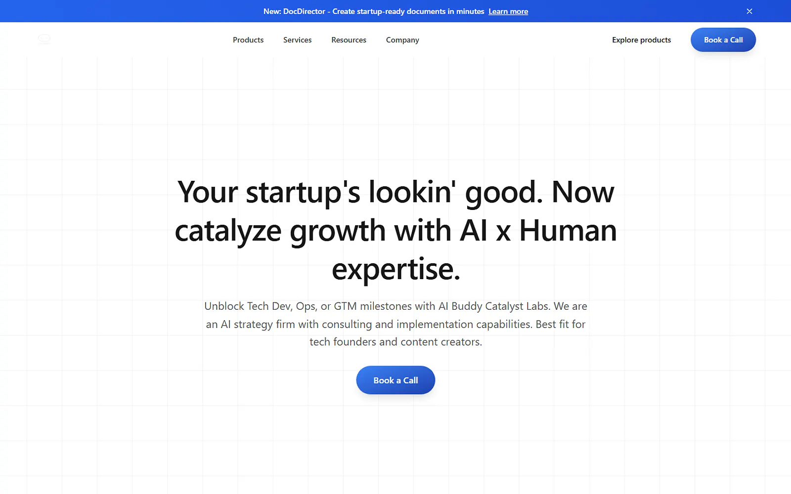 AI Buddy project preview